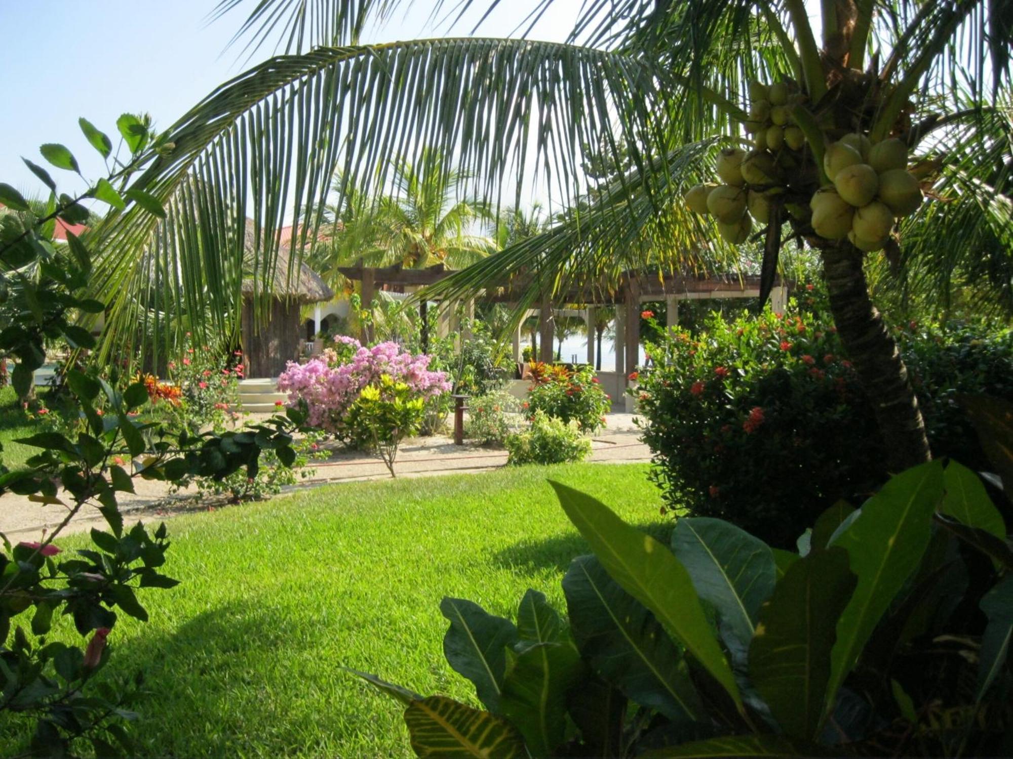 Los Porticos Placencia Chambre photo